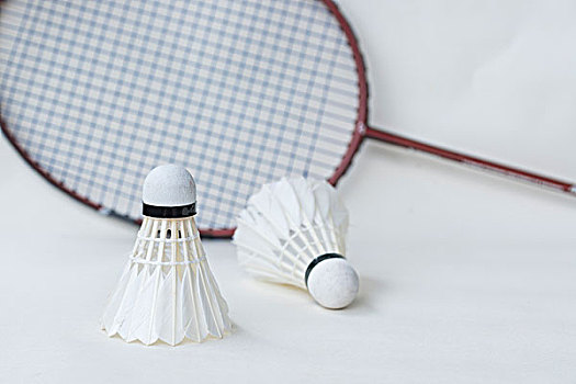 能训练和心 能训练和心