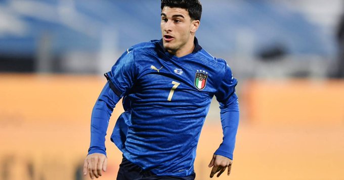 他引入更加 他引入更加