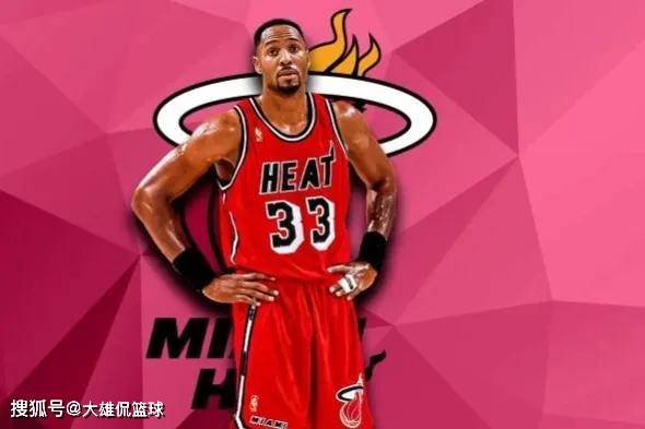 为他提供了 为他提供了