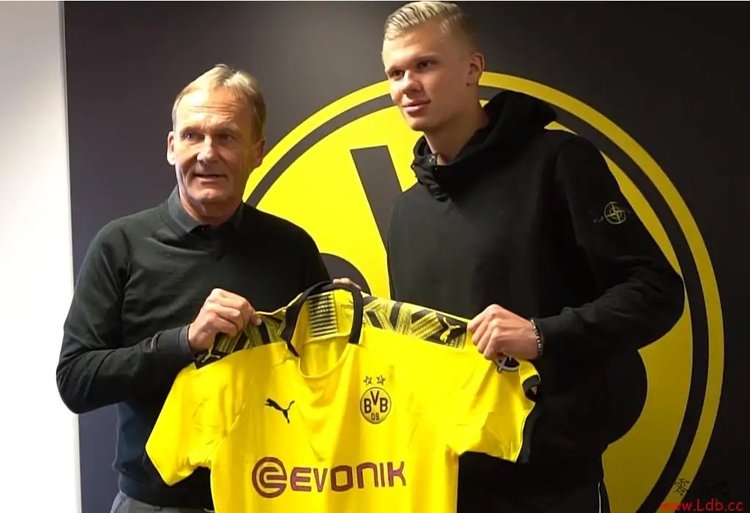 以下从战术 以下从战术